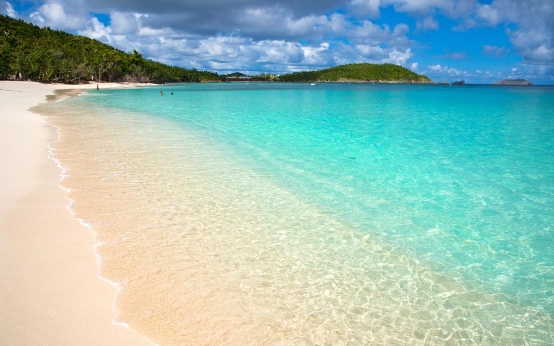 Caribbean Countries Get Access to Africa Medical Supplies Platform for Procurement of COVID-19 Supplies