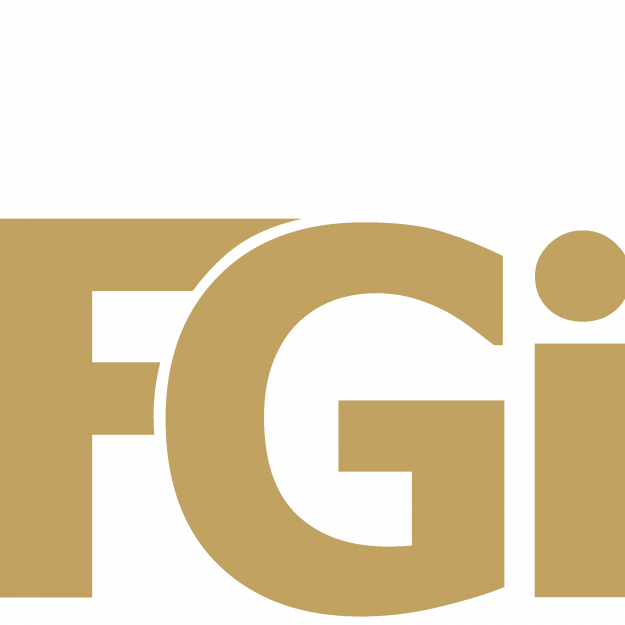 FGi Inc FZE