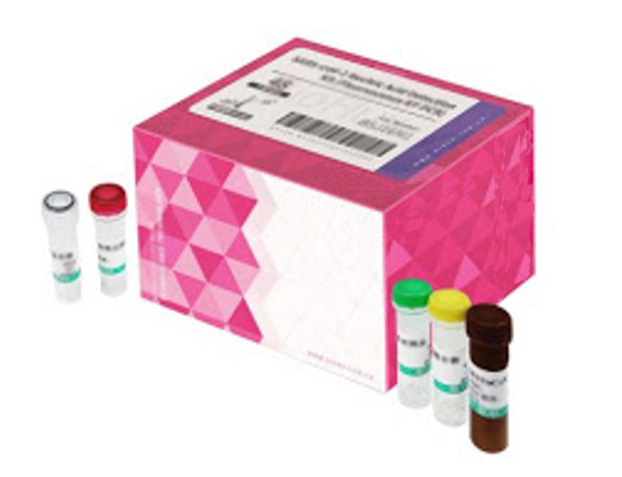 61 Nucleic Acid Test