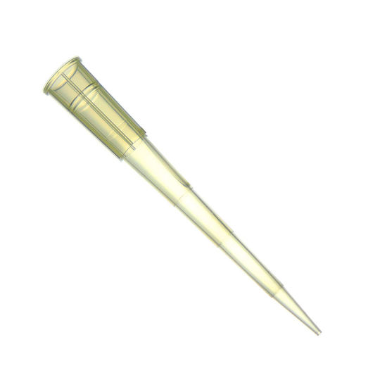 Disposable-Plastic-Blue-Yellow-White-Pipette-Tips