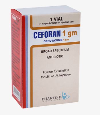 Ceforan 1 g